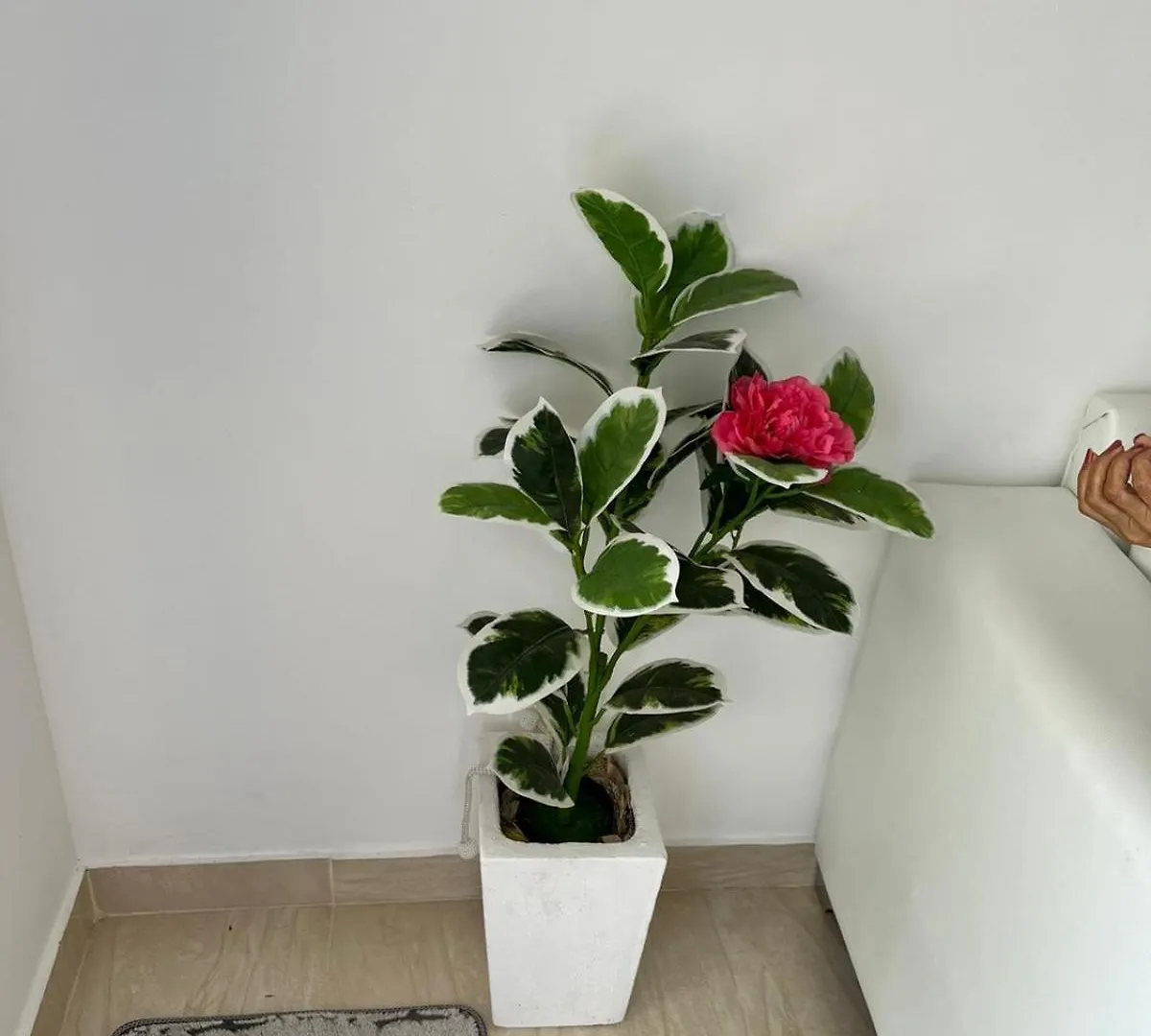 Buy & Rent With Vlad Srl Apartman Santiago de los Caballeros